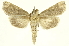 ( - INBIOCRI000163782)  @13 [ ] Copyright (2012) J. Montero INBio