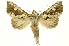  ( - INBIOCRI000165311)  @14 [ ] Copyright (2012) J. Montero INBio