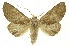  ( - INBIOCRI000185344)  @11 [ ] Copyright (2012) Juan Mata Lorenzen INBio
