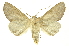  ( - INBIOCRI000185344)  @11 [ ] Copyright (2012) Juan Mata Lorenzen INBio