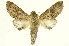 ( - INBIOCRI000191959)  @13 [ ] Copyright (2012) J. Montero INBio