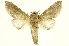  ( - INBIOCRI000191959)  @14 [ ] Copyright (2012) J. Montero INBio