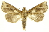  ( - INBIOCRI000192096)  @13 [ ] Copyright (2012) J. Montero INBio