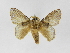  ( - INBIOCRI000205409)  @13 [ ] Copyright (2012) J. Montero Instituto Nacional de Biodiversidad