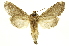  ( - INBIOCRI000213699)  @13 [ ] Copyright (2012) Juan Mata Lorenzen INBio