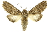  ( - INBIOCRI000215820)  @14 [ ] Copyright (2012) J. Montero INBio