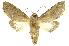  ( - INBIOCRI000215820)  @14 [ ] Copyright (2012) J. Montero INBio