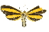  ( - INBIOCRI000217942)  @13 [ ] Copyright (2012) Juan Mata Lorenzen Unspecified