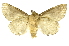  ( - INBIOCRI000220358)  @11 [ ] Copyright (2012) J. Montero INBio