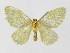  ( - INBIOCRI000222278)  @11 [ ] Copyright (2012) J. Montero Instituto Nacional de Biodiversidad