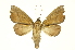  ( - INBIOCRI000240807)  @14 [ ] Copyright (2012) Juan Mata Lorenzen INBio