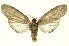  ( - INBIOCRI000242028)  @14 [ ] Copyright (2012) Juan Mata Lorenzen INBio