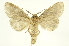  ( - INBIOCRI000242295)  @11 [ ] Copyright (2012) J. Montero INBio