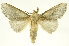  ( - INBIOCRI000243845)  @13 [ ] Copyright (2012) J. Montero INBio