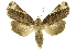  ( - INBIOCRI000245366)  @14 [ ] Copyright (2012) J. Montero INBio