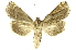 ( - INBIOCRI000245366)  @13 [ ] Copyright (2012) J. Montero INBio