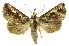  ( - INBIOCRI000246981)  @14 [ ] Copyright (2012) J. Montero INBio