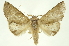  ( - INBIOCRI000265700)  @11 [ ] Copyright (2012) Juan Mata Lorenzen INBio