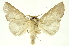  ( - INBIOCRI000265700)  @11 [ ] Copyright (2012) Juan Mata Lorenzen INBio