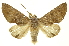  ( - INBIOCRI000265833)  @11 [ ] Copyright (2012) Juan Mata Lorenzen INBio