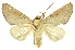  ( - INBIOCRI000265833)  @11 [ ] Copyright (2012) Juan Mata Lorenzen INBio