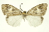  ( - INBIOCRI000274527)  @14 [ ] Copyright (2012) Juan Mata Lorenzen Unspecified