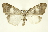  ( - INBIOCRI000274549)  @11 [ ] Copyright (2012) Juan Mata Lorenzen INBio