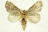  ( - INBIOCRI000275973)  @11 [ ] Copyright (2012) J. Montero INBio