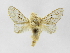  ( - INBIOCRI000277283)  @11 [ ] Copyright (2012) J. Montero Instituto Nacional de Biodiversidad