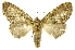  ( - INBIOCRI000282045)  @11 [ ] Copyright (2012) J. Montero INBio