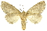  ( - INBIOCRI000282045)  @11 [ ] Copyright (2012) J. Montero INBio