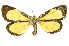  ( - INBIOCRI000289125)  @14 [ ] Copyright (2012) Juan Mata Lorenzen INBio