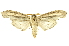  ( - INBIOCRI000296617)  @14 [ ] Copyright (2012) Juan Mata Lorenzen INBio
