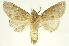  ( - INBIOCRI000329122)  @13 [ ] Copyright (2012) J. Montero INBio