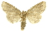  ( - INBIOCRI000329140)  @12 [ ] Copyright (2012) J. Montero INBio