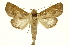  ( - INBIOCRI000334585)  @11 [ ] Copyright (2012) Juan Mata Lorenzen INBio