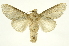  ( - INBIOCRI000345836)  @11 [ ] Copyright (2012) J. Montero INBio