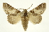  ( - INBIOCRI000392894)  @15 [ ] Copyright (2012) J. Montero INBio