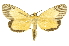  ( - INBIOCRI000420987)  @11 [ ] Copyright (2012) Juan Mata Lorenzen INBio