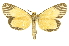  ( - INBIOCRI000420987)  @11 [ ] Copyright (2012) Juan Mata Lorenzen INBio