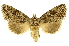  ( - INBIOCRI000478076)  @14 [ ] Copyright (2012) J. Montero INBio