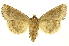  ( - INBIOCRI000478076)  @14 [ ] Copyright (2012) J. Montero INBio