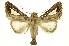  ( - INBIOCRI000514903)  @11 [ ] Copyright (2012) Juan Mata Lorenzen INBio