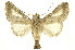  ( - INBIOCRI000514903)  @11 [ ] Copyright (2012) Juan Mata Lorenzen INBio
