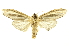  ( - INBIOCRI000532244)  @11 [ ] Copyright (2012) Juan Mata Lorenzen INBio