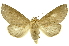 ( - INBIOCRI000532477)  @14 [ ] Copyright (2012) Juan Mata Lorenzen INBio