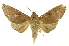  ( - INBIOCRI000532625)  @14 [ ] Copyright (2012) J. Montero INBio