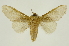  ( - INBIOCRI000532625)  @14 [ ] Copyright (2012) J. Montero INBio
