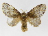  ( - INBIOCRI000532836)  @14 [ ] Copyright (2012) J. Montero Instituto Nacional de Biodiversidad