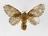  ( - INBIOCRI000532836)  @13 [ ] Copyright (2012) J. Montero Instituto Nacional de Biodiversidad
